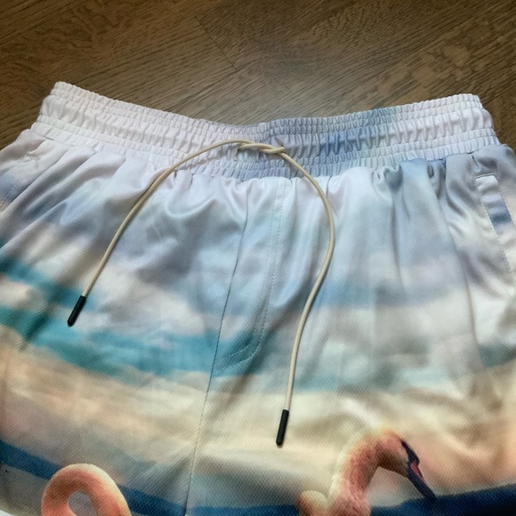 WELL KNOWN STUDIOS The Swan Family Shorts 7”  Men’s Size Large Street Wear NEW - Picture 5 of 13